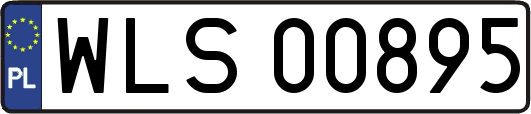 WLS00895