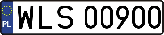WLS00900
