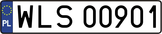 WLS00901