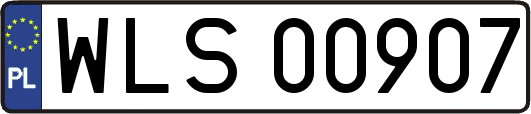 WLS00907