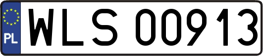 WLS00913