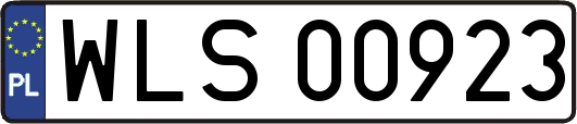 WLS00923
