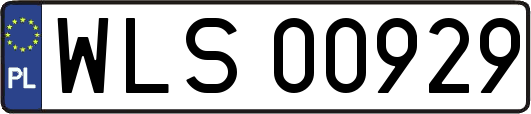 WLS00929
