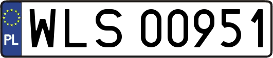 WLS00951