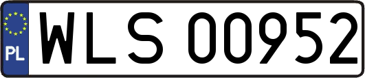 WLS00952