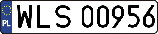 WLS00956