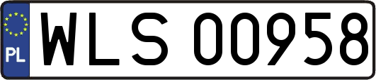 WLS00958