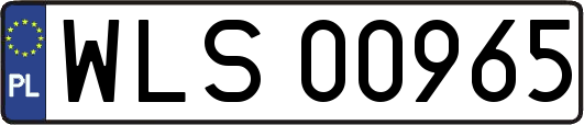 WLS00965