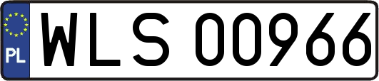 WLS00966