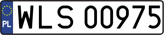 WLS00975