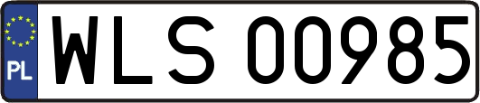 WLS00985