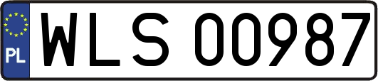WLS00987