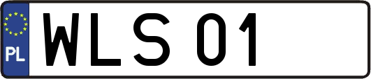 WLS01