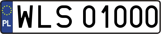 WLS01000