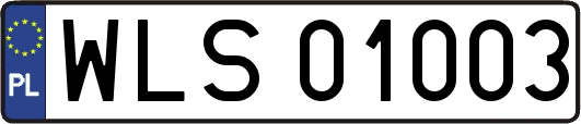 WLS01003