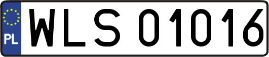 WLS01016