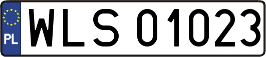 WLS01023