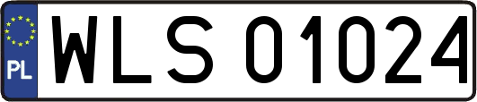 WLS01024