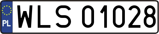 WLS01028