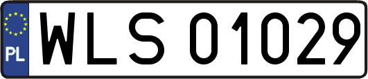 WLS01029