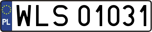 WLS01031