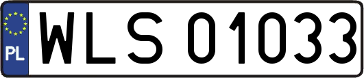 WLS01033