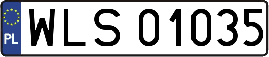WLS01035