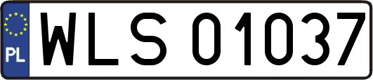 WLS01037