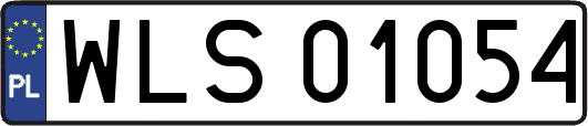 WLS01054