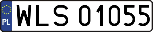 WLS01055