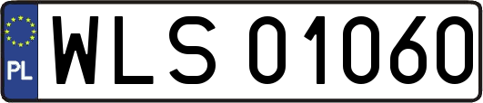 WLS01060