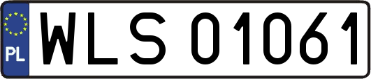 WLS01061
