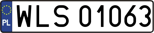 WLS01063