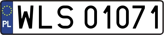 WLS01071
