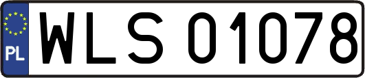 WLS01078