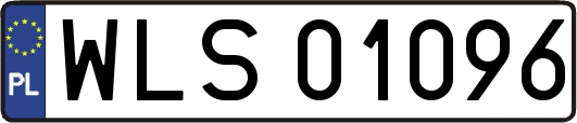WLS01096
