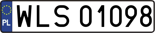 WLS01098