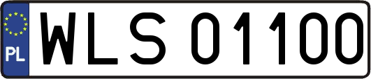 WLS01100