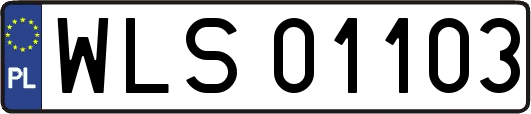 WLS01103