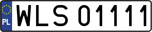 WLS01111
