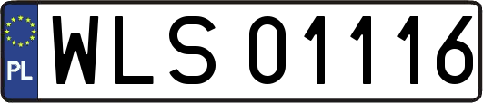 WLS01116