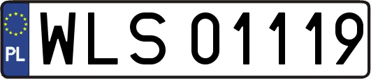 WLS01119