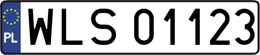 WLS01123