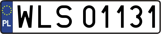 WLS01131