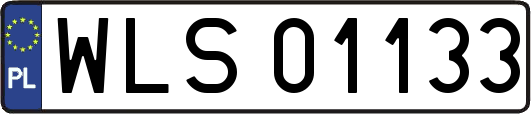 WLS01133