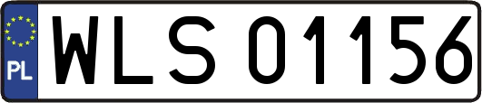 WLS01156