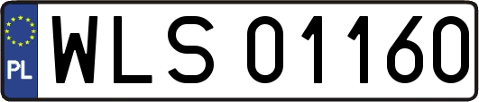 WLS01160