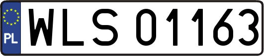 WLS01163