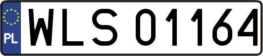 WLS01164