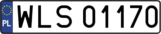 WLS01170